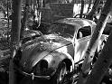 Autofriedhof - 211